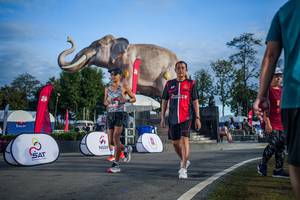 BIB: 
                            <button type="button" onclick="openModal(26541870)" class="btn btn-primary btn-sm float-right btn-popup" data-toggle="modal" data-target=".modal-high-quality">
                        <i class="fas fa-shopping-cart"></i> Add to Cart
                    </button>
                                            <button type="button" onclick="isThisMe(26541870, true)" class="btn btn-success btn-sm float-right btn-popup btn-isme hidden" data-toggle="tooltip" data-placement="bottom" title="นี่คือรูปของคุณใช่ไหม คลิกที่นี่เพื่อเอาเข้าอัลบั้ม">
                        <i class="fas fa-plus"></i> Add to album
                    </button>
                    <button type="button" onclick="isThisMe(26541870, false)" class="btn btn-warning btn-sm float-right btn-popup btn-isnotme hidden">
                        <i class="fas fa-ban"></i> Remove from album
                    </button>